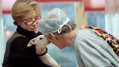 The Dog Doc Called a maverick, a miracle-worker, and a quack, Dr. Marty Goldstein is a pioneer of integrative veterinary medicine. By holistically treating animal...